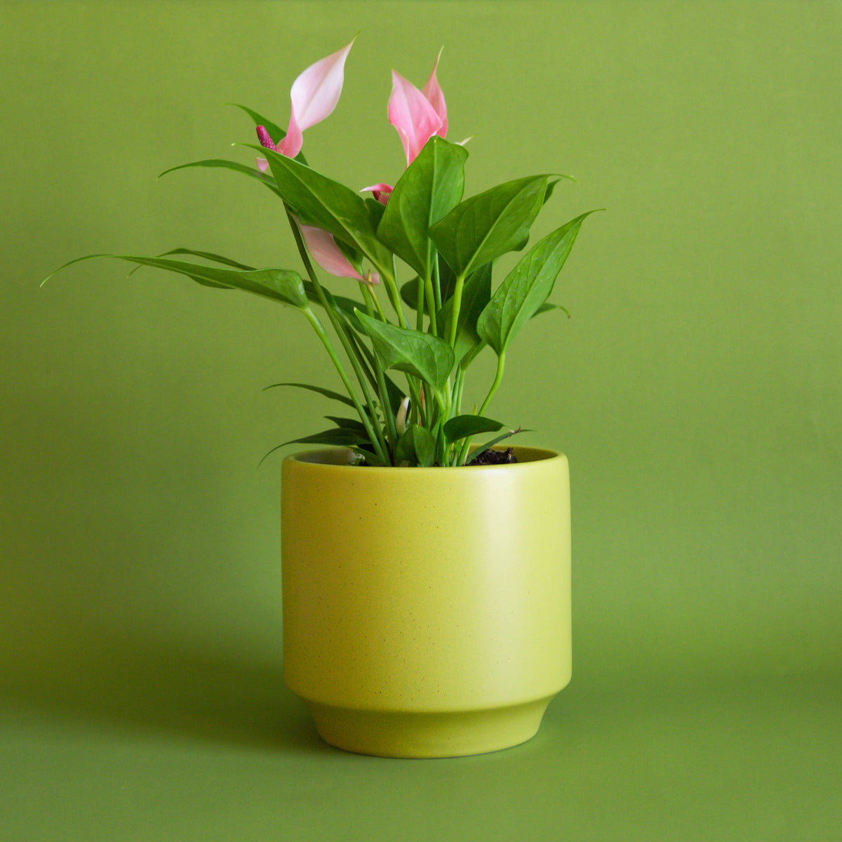 Parker Planter | Palm Speckle