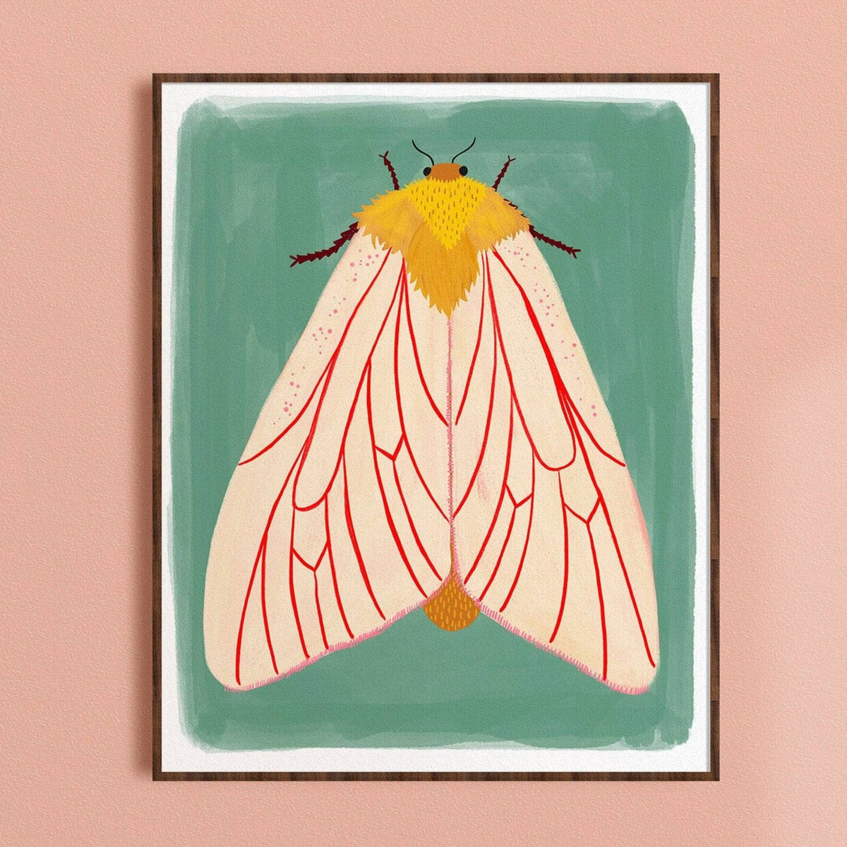 Ghost Moth - Art Print