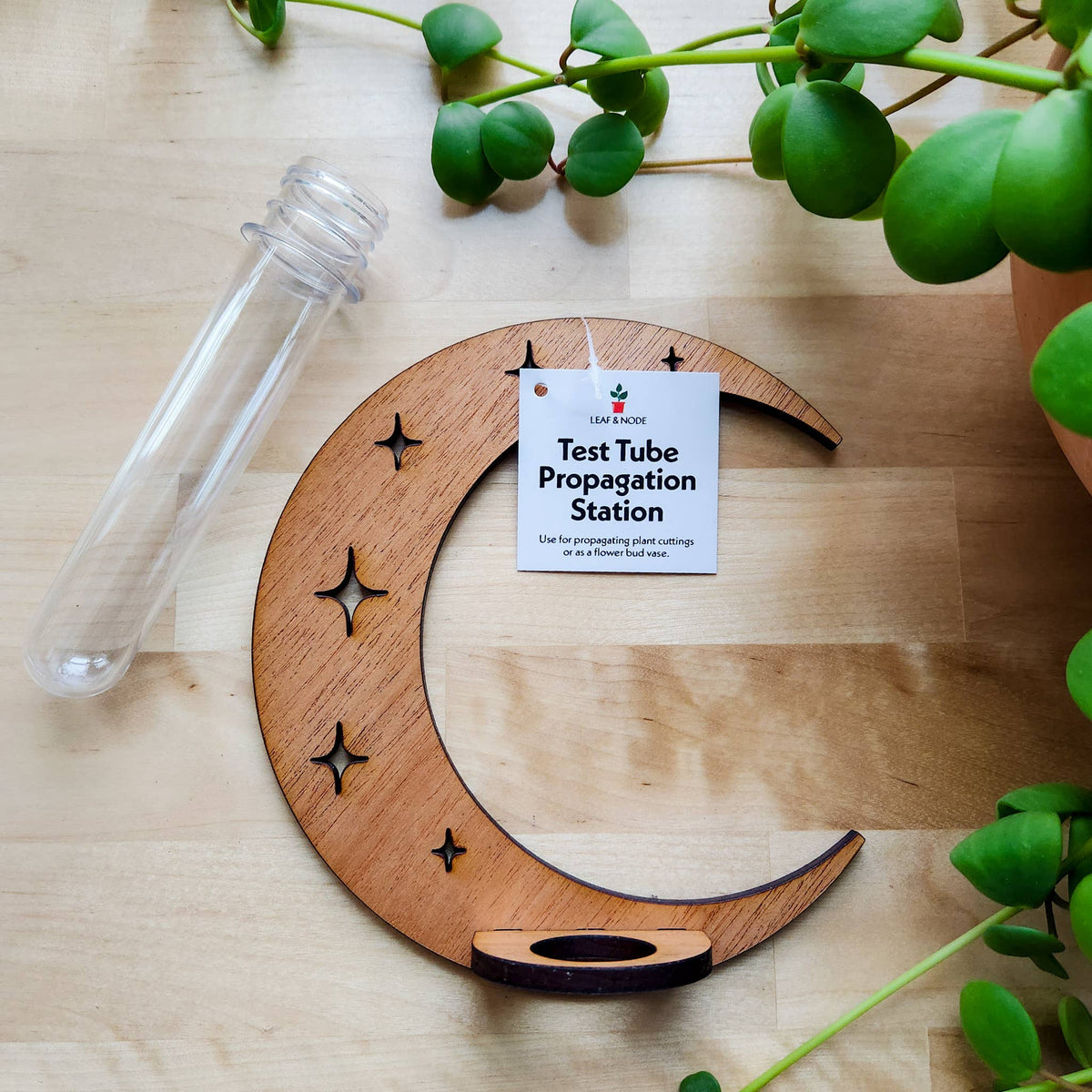 Moon &amp; Stars Propagation Station