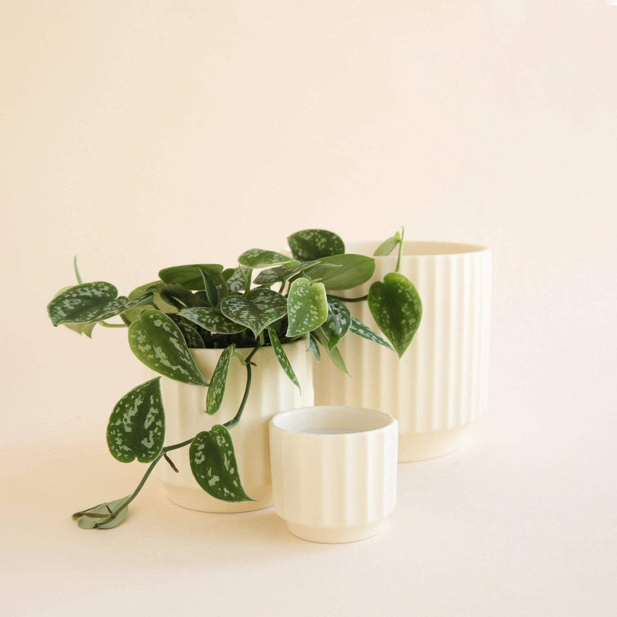 Monroe Planter | Vintage White