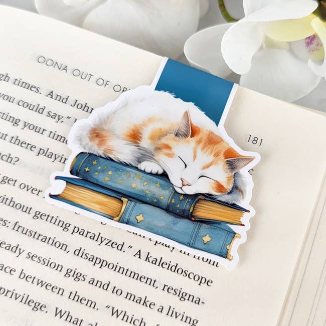 Sleepy Library Cat | Magnetic Bookmark