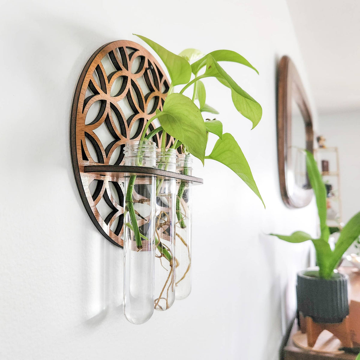 Round Wall Hanging Propagation Station