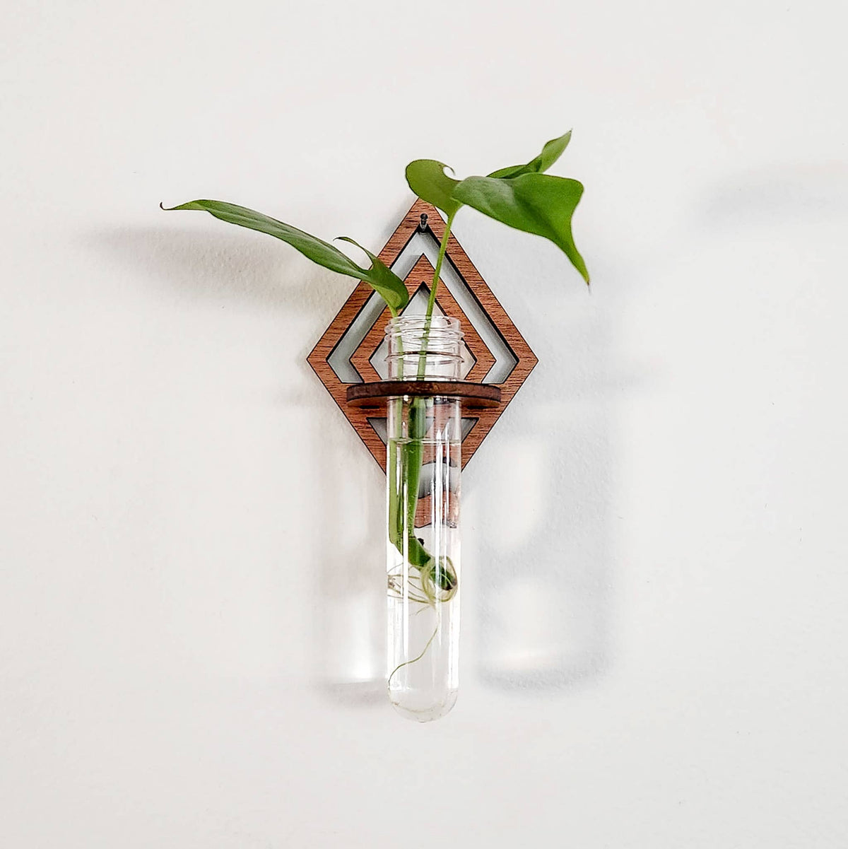 Diamond Wall Hanging Propagation Station