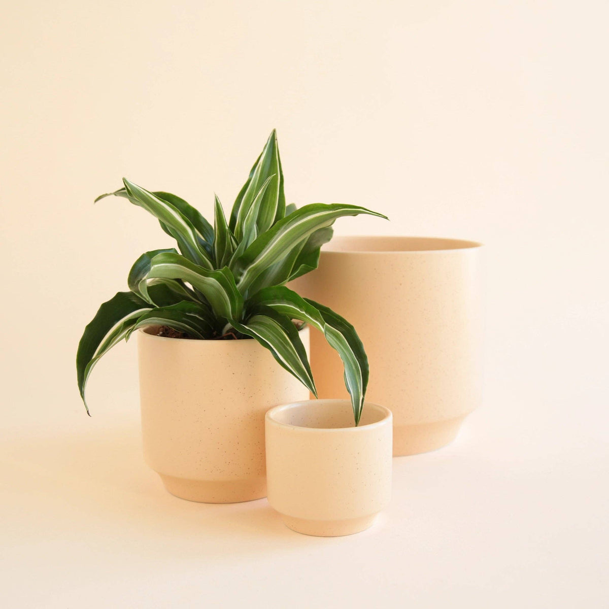 Parker Planter | Vanilla Speckle 4.5&quot; &amp; 6.75&quot;