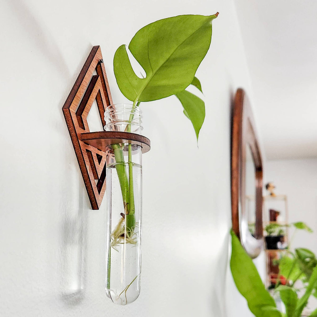 Diamond Wall Hanging Propagation Station