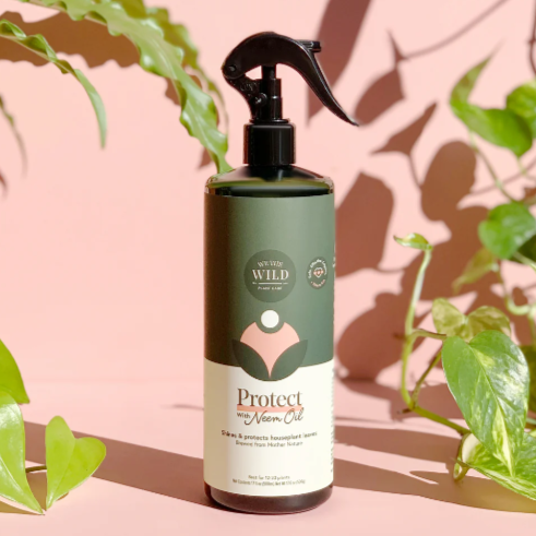 Protect Spray with Neem (17 oz) | We The Wild