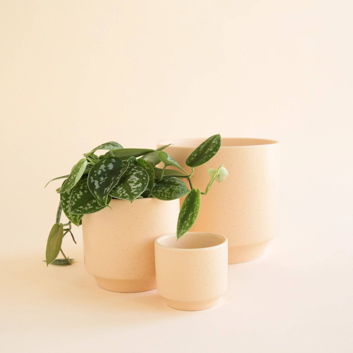 Parker Planter | Vanilla Speckle 4.5&quot; &amp; 6.75&quot;