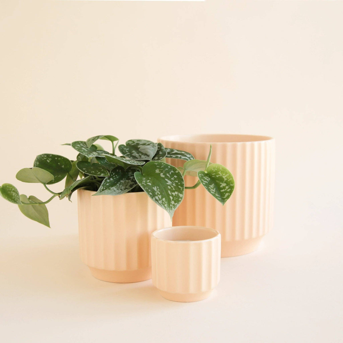 Monroe Planter | Vanilla