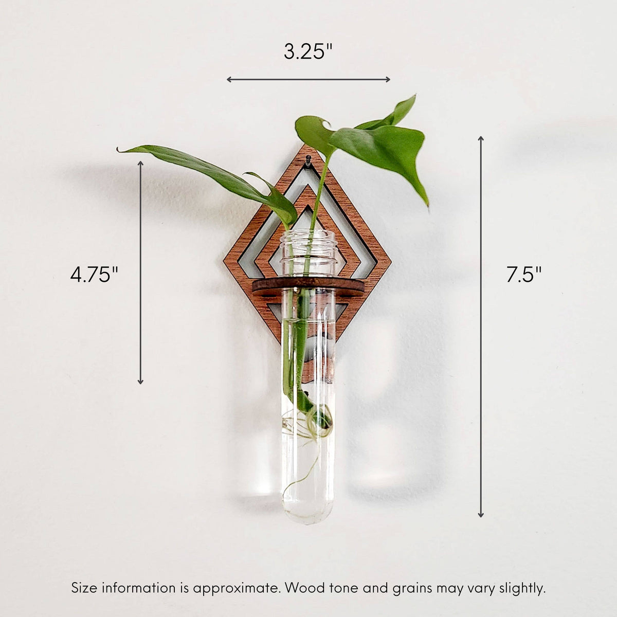 Diamond Wall Hanging Propagation Station