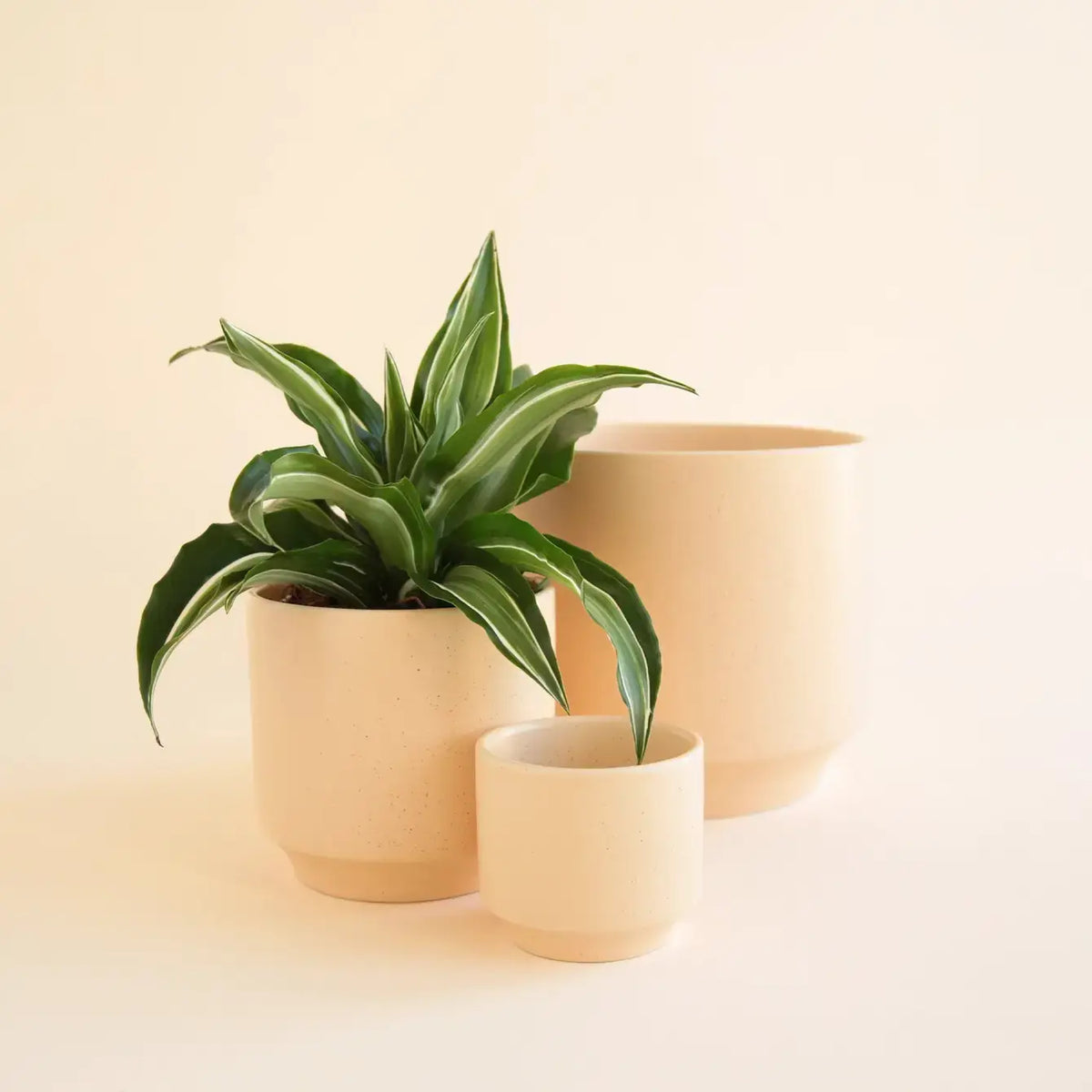 Parker Planter | Vanilla Speckle 3&quot;