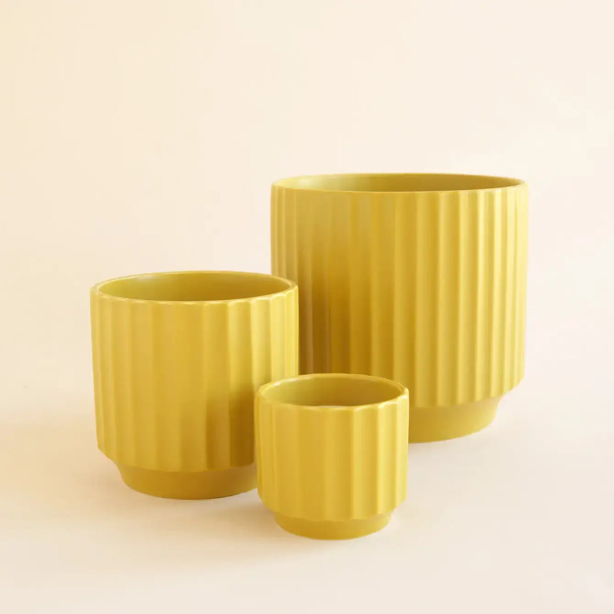 Monroe Planter | Palm